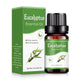  (Eucalyptus)