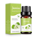  (Jasmine)