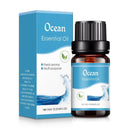  (Ocean)