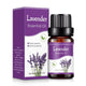  (Lavender)