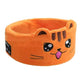  Orange cat