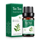  (Tea Tree)