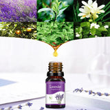 Aromatherapy Humidifier Water Soluble Essential Oil - Omatic Health