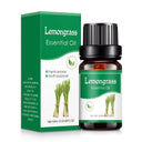  (Lemon Grass)